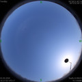 1585819637.jpg