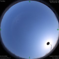 1585819817.jpg