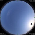1585822878.jpg