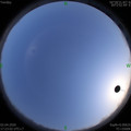 1585823000.jpg