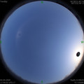 1585824559.jpg