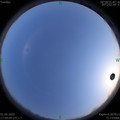 1585824859.jpg