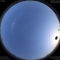 1585825039.jpg