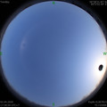 1585825099.jpg