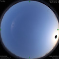 1585825459.jpg