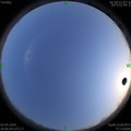 1585825580.jpg