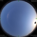 1585825820.jpg
