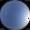1585826240.jpg