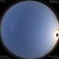 1585826720.jpg