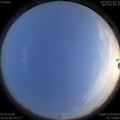 1585828221.jpg