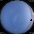 1585832138.jpg