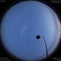 1585832258.jpg