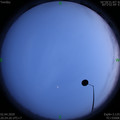 1585833879.jpg