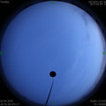 1585834554.jpg