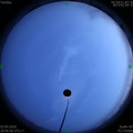 1585834869.jpg