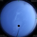 1585834929.jpg