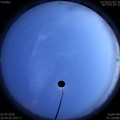 1585835109.jpg