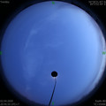 1585835169.jpg