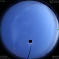 1585835229.jpg