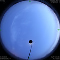 1585835259.jpg