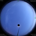 1585835379.jpg