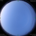 1585870181.jpg