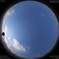 1585878451.jpg