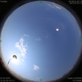 1585884048.jpg