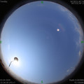1585884529.jpg