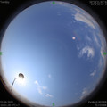 1585884709.jpg