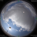 1585887530.jpg