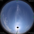 1585895994.jpg