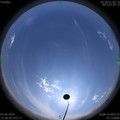 1585897135.jpg