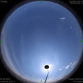 1585897435.jpg