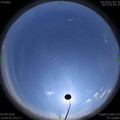 1585897510.jpg