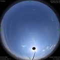 1585897525.jpg