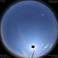 1585897645.jpg
