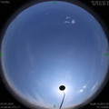 1585897705.jpg