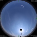 1585897720.jpg