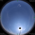 1585897750.jpg