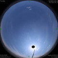 1585897780.jpg