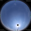 1585897795.jpg