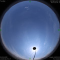 1585897810.jpg