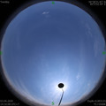1585897825.jpg