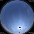 1585897945.jpg
