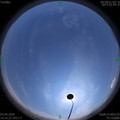 1585898140.jpg