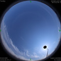 1585903363.jpg