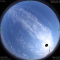 1585904804.jpg