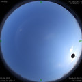 1585909186.jpg