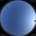 1585913448.jpg